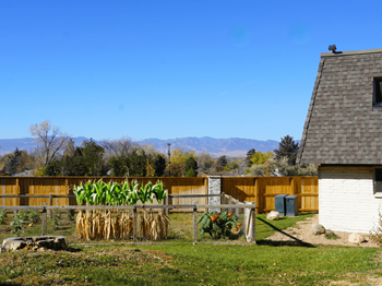 A backyard with a fence, a shed, and a garden.