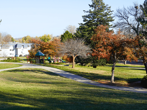 Arvada apartment for rent - A park with a walking path and trees.