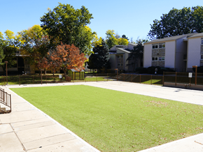 Denver apartment for rent - A grassy area in front of a building with trees in the background at Garden Court Apartments, Denver, 80220