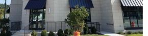 Stamford apartment for rent - A tree in a pot is in front of a building.