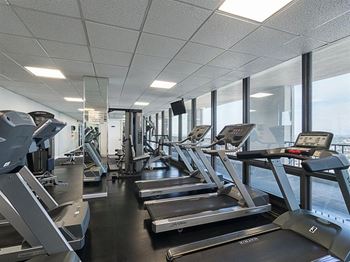 40Th floor skyline fitness center