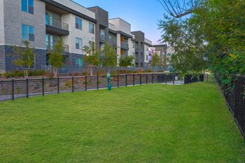 Expansive fenced-in bark park