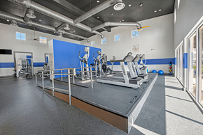 Austin apartment for rent - A gym with a blue wall and a row of treadmills.