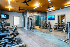 Manor apartment for rent - A modern fully equipped gym,