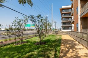 Austin apartment for rent - A tree-lined sidewalk in front of a multi-story apartment building.
