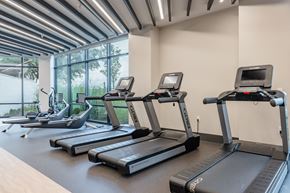 Austin apartment for rent - A gym with treadmills and elliptical machines.