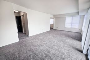 Cincinnati apartment for rent - A spacious room with grey carpeting and white walls.