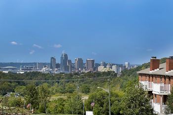 Panoramic view