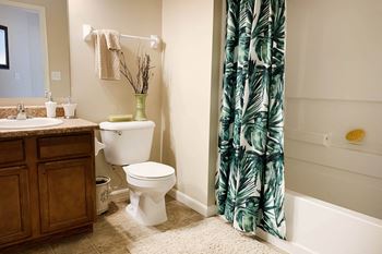 Spa inspired bathroom