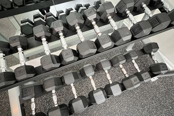 A row of dumbbells on the floor of a gym