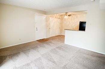 Carpet