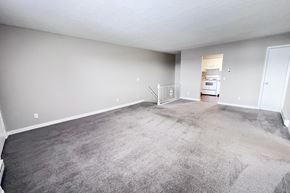 Cold Spring apartment for rent - A spacious room with grey carpeting and white walls.