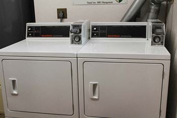 A washer and dryer sitting next to each other