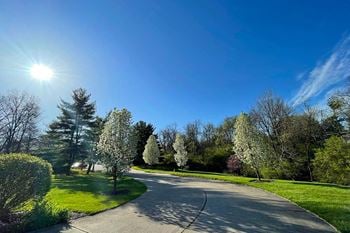 A winding road with trees on both sides of the road
