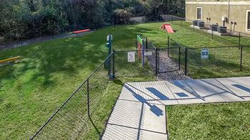 Bark park