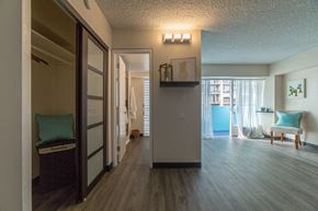 Honolulu apartment for rent - Waikiki Walina Apartments living area with closet storage and decor