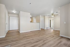 Castle Rock apartment for rent - Pines at Castle Rock 2728 living room with wooden flooring and white walls.