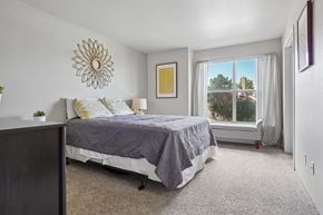 Castle Rock apartment for rent - A bedroom with a bed, carpet, and a window.