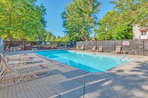 Olympia apartment for rent - Courtside Apartments swimming pool