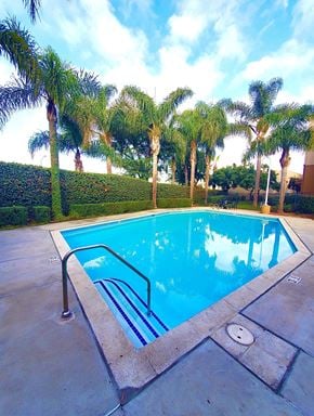 Chula Vista apartment for rent - A pool surrounded by palm trees.