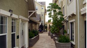 Los Angeles apartment for rent - Casa Figueroa - Walkway