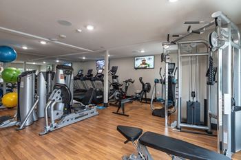 Fitness center with free weights