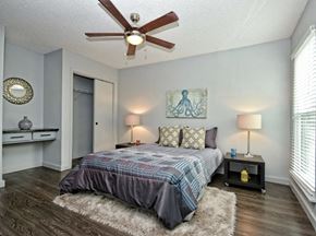 Austin apartment for rent - Fashionaire Bedroom with closet and decor