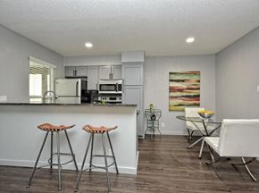 Austin apartment for rent - Fashionaire Kitchen area with bar counter and decor