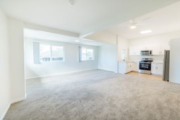 Honolulu apartment for rent - A spacious living room with a grey carpet and a kitchen area in the background.