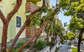 Los Angeles apartment for rent - A tree with green leaves is in front of a yellow building.