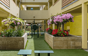 Los Angeles apartment for rent - A courtyard with a bench, a table and a planter with purple flowers.