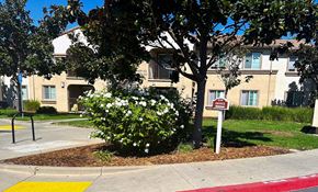 Sacramento apartment for rent - a street sign in front of a tree and flowers