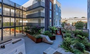 San Francisco apartment for rent - Pacific Pointe courtyard