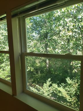 Bothell apartment for rent - Riverside Landing window with nature view