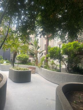 Los Angeles apartment for rent - San Lucas Apartments landscape
