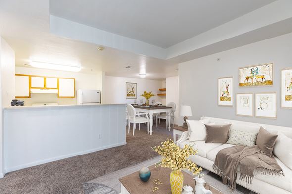 Brighton apartment for rent - A living room with a white couch and a yellow vase on the coffee table.