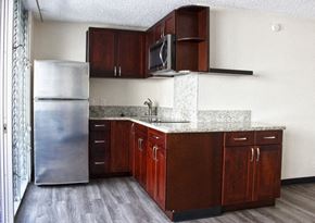 Honolulu apartment for rent - Waikiki Walina Apartments kitchen area with appliances, cabinets, and counters