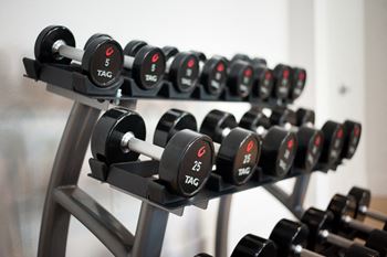 Free weights
