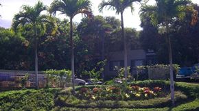Kapolei apartment for rent - Cambridge Park Gardens