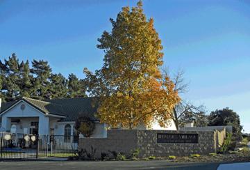 Orcutt apartment for rent - A tree with orange leaves stands in front of a building with a sign that reads "Brunswick Village".