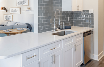 Stainless steel dishwashers in renovated apartments