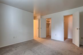 Palmyra apartment for rent - A room with white walls and carpeted floor with three doors.