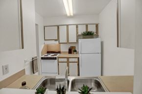 Three Springs apartment for rent - a kitchen with a sink and a refrigerator