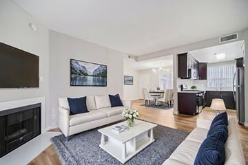 Canoga Park apartment for rent - A living room with a white couch and a fireplace.