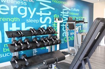 Free weights
