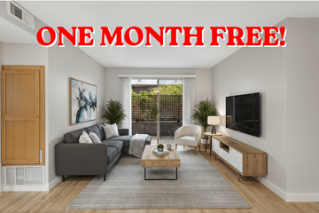 North Hollywood apartment for rent - A living room with a grey sofa and a coffee table.