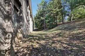 White Oak apartment for rent - A tree-lined path leads away from a building.