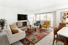 Elizabeth apartment for rent - A living room with a white couch, a coffee table, a chair, a television, and a potted plant.