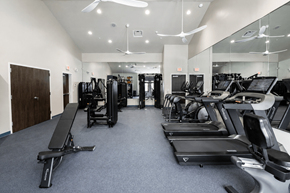 Bear triplex for rent - A gym with treadmills, weights, and exercise equipment.