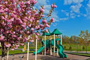 Bear townhouse for rent - a playground with a tree with pink flowers